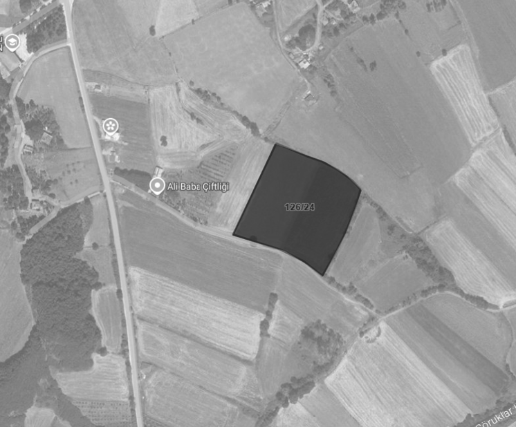 Bafra Rural Land Assessment & Investment Advisory Project — 1